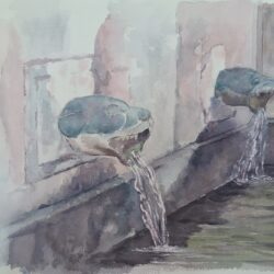 Bocas de agua