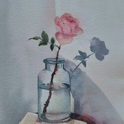 Rosa del cristal